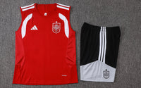 Maglia e pantaloncini da allenamento Spagna 26/27