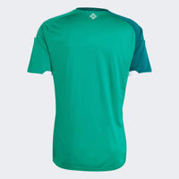 Maglia Irlanda Home 26/27