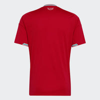 Maglie Calcio Galles Home 26/27