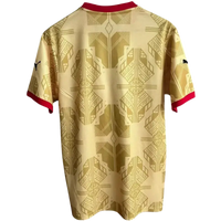 Maglie Calcio Ghana Away 26/27