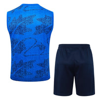 Maglia da allenamento e pantaloncini del  Francia 25/26