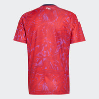 Maglie Calcio Costa Rica Home 26/27
