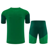 Maglia e Pantaloncini Allenamento Algeria Bambino 26/27
