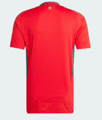 Maglie Calcio Gallese 24/25