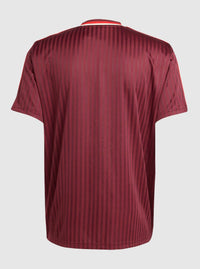 Maglia Collezione Bayern Monaco 2025 ICON (Collezione speciale) Versione Giocatore